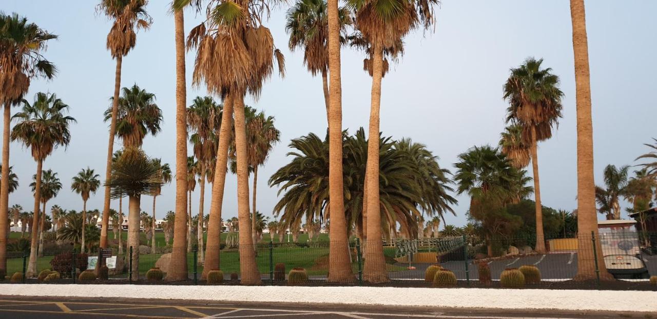 El Medano, La Tejita Apartment Bagian luar foto